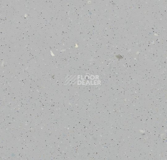 Линолеум Forbo SureStep Original 172862 silver grey фото 1 | FLOORDEALER